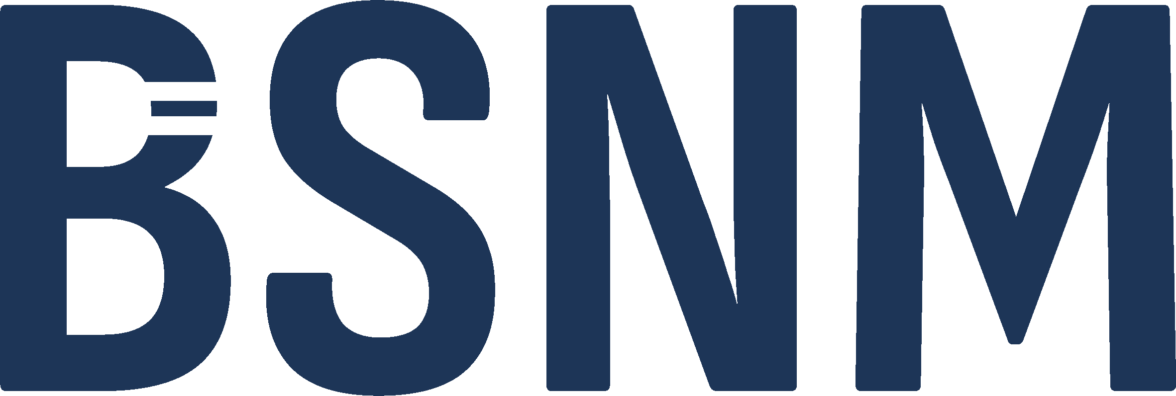 BSNM BSD Server Network Manager